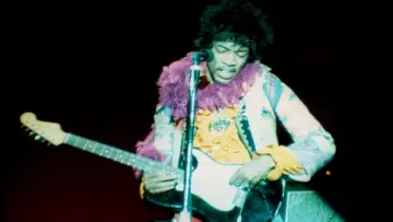 Задник к фильму "Monterey Pop" #498478