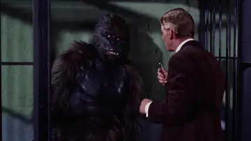 Задник к фильму "Konga" #652414