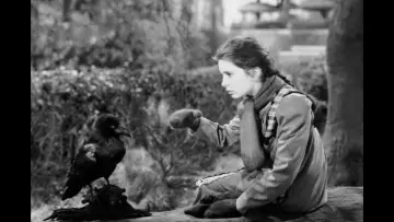 Задник к фильму "The Secret Garden" #1077241