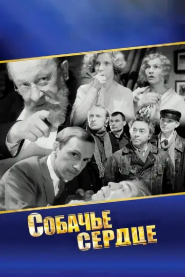 Постер к фильму "Собачье сердце" #948024