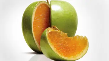 Задник к фильму "Freakonomics" #1132592