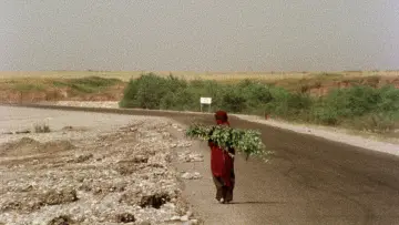 Задник к фильму "خاک سر به مهر" #915387