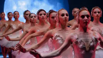 Задник к фильму "Чёрный лебедь" #202223