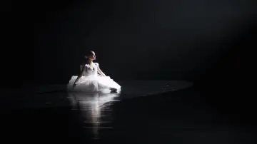 Задник к фильму "Чёрный лебедь" #595665
