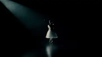 Задник к фильму "Чёрный лебедь" #595667
