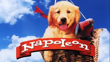Задник к фильму "Napoleon" #646954