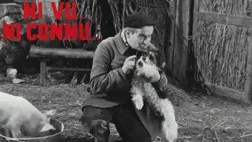 Задник к фильму "Не пойман - не вор" #1100453