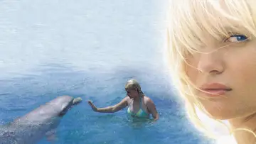 Задник к фильму "Eye of the Dolphin" #1790523