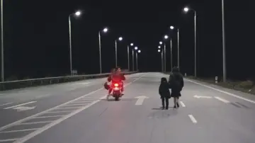 Задник к фильму "Пейзаж в тумане" #1102138