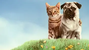 Задник к фильму "Приключения Майло и Отиса" #409198