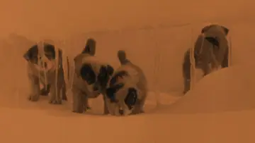 Задник к фильму "Юг" #1521871