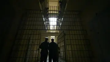 Задник к фильму "Тайная жизнь" #870624
