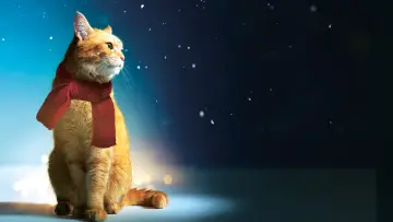 Задник к фильму "Уличный кот по кличке Боб" #182769