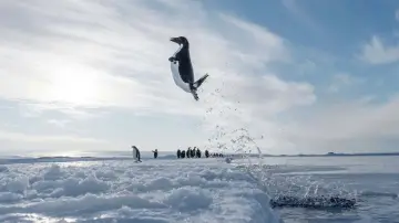Задник к фильму "L