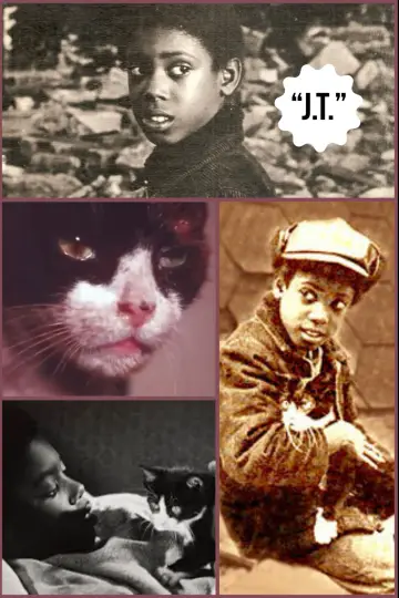 Постер к фильму "J.T." #745343