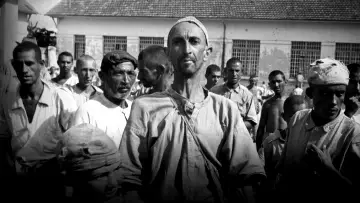 Holocausto Brasileiro постер