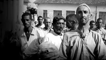 Задник к фильму "Holocausto Brasileiro" #1785698