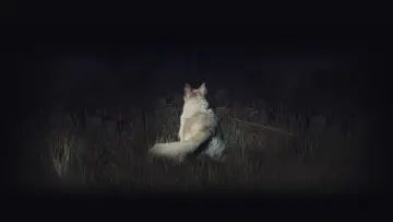 Задник к фильму "Оно приходит ночью" #346323