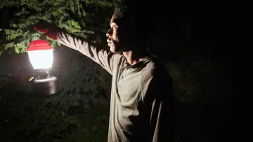 Задник к фильму "Оно приходит ночью" #950540