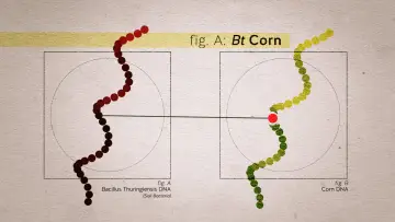 Задник к фильму "Food Evolution" #1134611