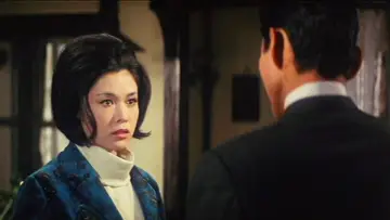 花実のない森 постер