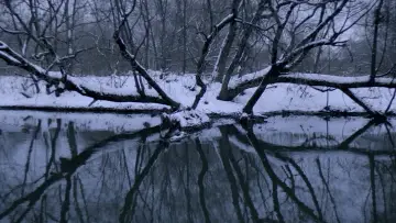 Задник к фильму "Нелюбовь" #1747964