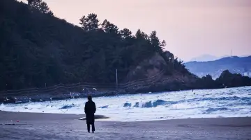 Задник к фильму "Ночью у моря одна" #400061