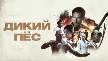 Видео к фильму Дикий пёс — Дикий пёс (2017) — Трейлер (дублированный) | Фильм