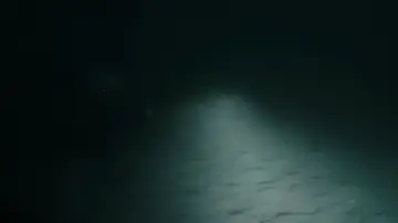 Задник к фильму "Под водой" #660010