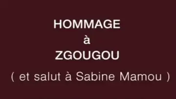 Задник к фильму "Hommage à Zgougou (et salut à Sabine Mamou)" #1147985