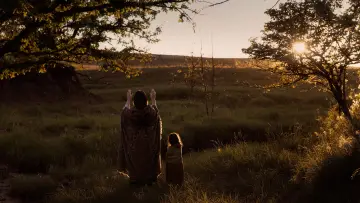 Задник к фильму "Убийцы цветочной луны" #583053