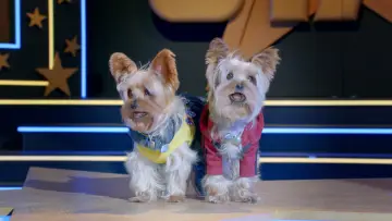 Задник к фильму "Pup Star: Better 2Gether" #406174