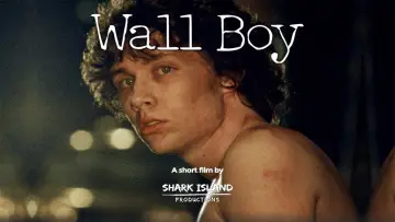 Задник к фильму "Wall Boy" #682346