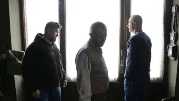 Žaba постер