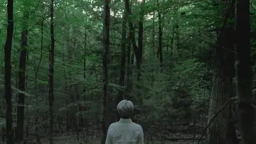 Задник к фильму "Ryuichi Sakamoto: CODA" #818473