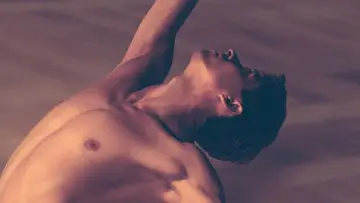 Задник к фильму "Нуреев. Белый ворон" #441466