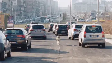 Задник к фильму "Счастливый Лазарь" #987915