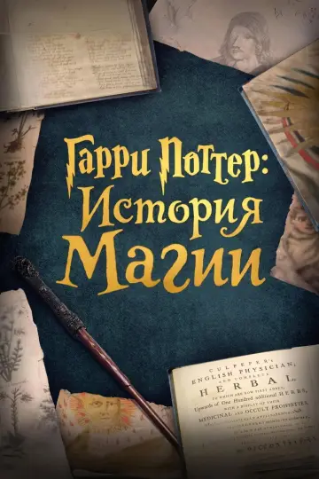 Гарри Поттер: История магии постер