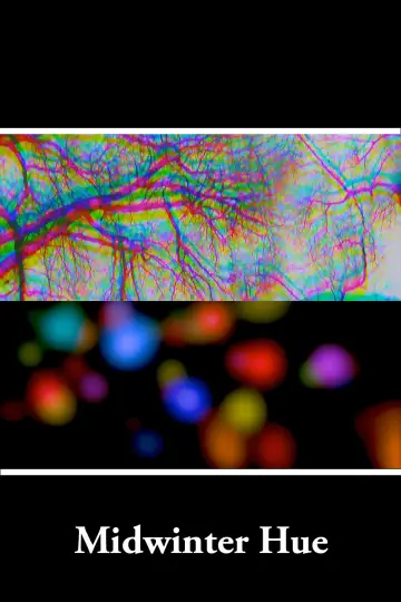 Постер к фильму "Midwinter Hue" #969031