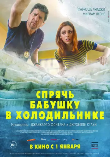 Постер к фильму "Спрячь бабушку в холодильнике" #1000916
