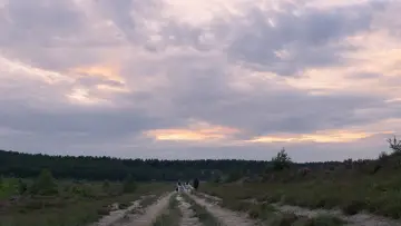 Задник к фильму "Чёрная вдова" #1178458