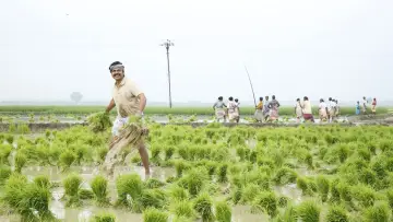 Задник к фильму "கடைக்குட்டி சிங்கம்" #452092