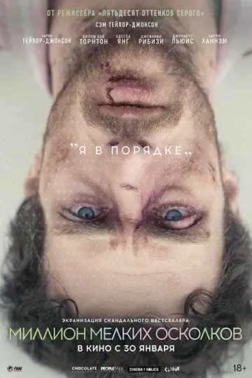 Постер к фильму "Миллион мелких осколков" #1013706