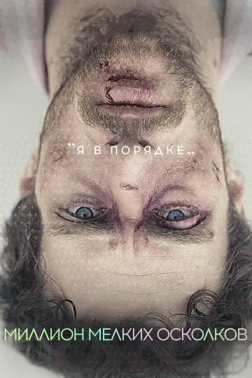 Постер к фильму "Миллион мелких осколков" #1013707