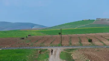 Задник к фильму "Дорога" #1121854