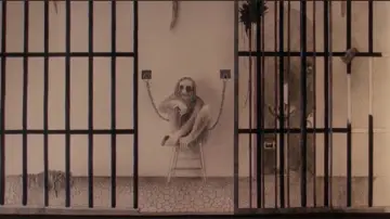 Задник к фильму "The Mafu Cage" #1745836