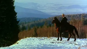 Задник к фильму "Ведьмак" #494899