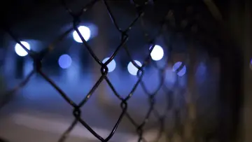 Задник к фильму "Night Crossing" #664330