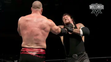 Задник к фильму "WWE WrestleMania XX" #447799