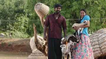 Задник к фильму "பில்லா பாண்டி" #1148804